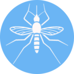 Mosquitoes Pest Control Pune
